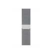 صورة Apple Watch 40mm Stainless Steel Milanese loop