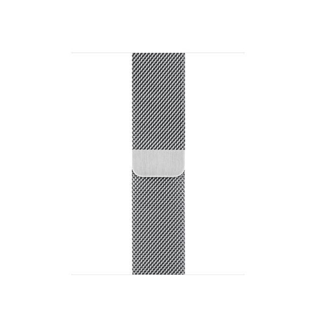 صورة Apple Watch 40mm Stainless Steel Milanese loop