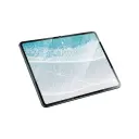 Green Lion iPad Pro 11 M4  Screen Guard Clear