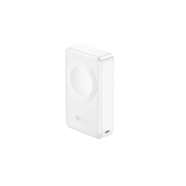 Bazic 4000mAh GoPower Portable Watch Charger, White