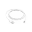 Apple 1M USB-A to Lightning Charge Cable